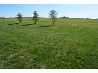 Property photo 50 - 80 +/- Acres Offered in 6 Tracts - Spectacular Farm & Home